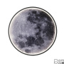 Настенно-потолочный светодиодный светильник Escada Planet 10226/SG LED Moon