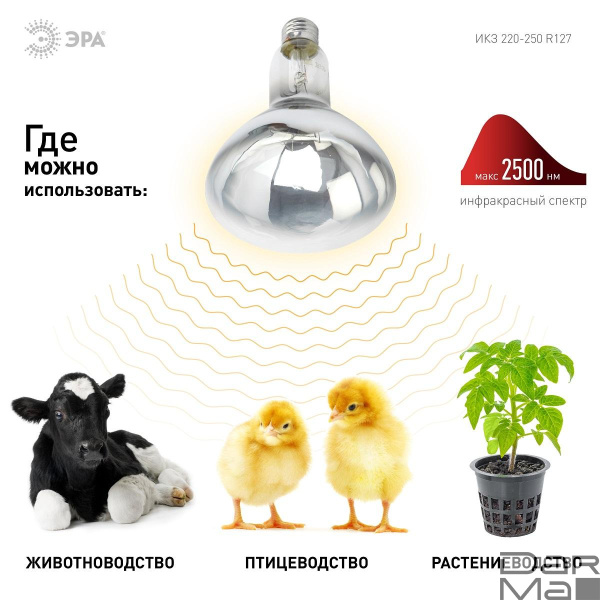 Лампа инфракрасная ЭРА E27 250 Вт для обогрева животных и освещения ИКЗ 220-250 R127 E27 Б0055440