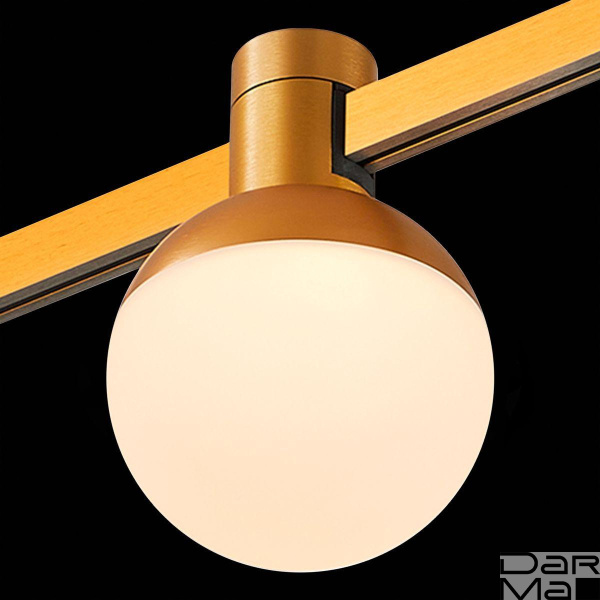 Трековый светодиодный светильник ST Luce Farm ST815.206.05