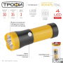 Ручной светодиодный фонарь ЭРА Трофи от батареек 125х43 30 лм TB4L Б0025679