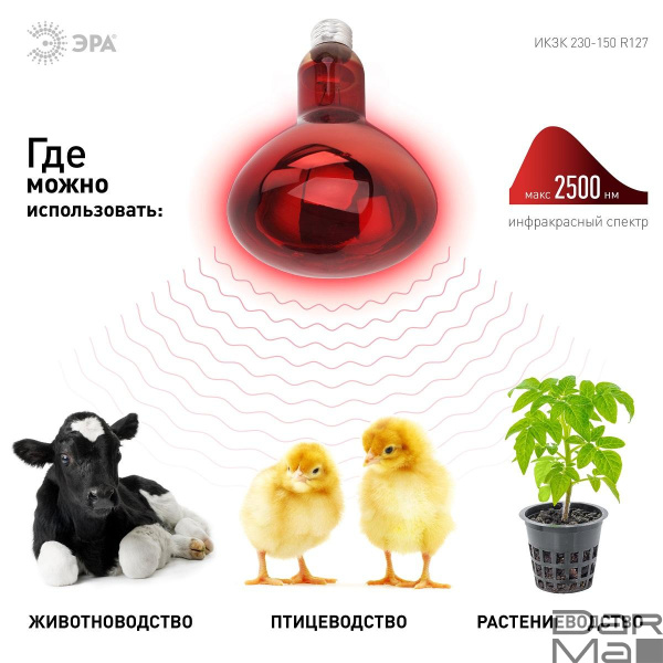 Лампа инфракрасная ЭРА E27 150 Вт для обогрева животных и освещения ИКЗК 230-150 R127 Б0055441