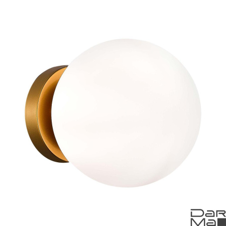 Настенно-потолочный светильник Evoluce Acini SL717.201.01