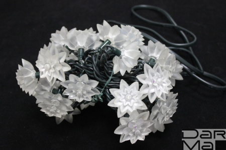 LED-PL-S02-30-3M-240V, 30LED, 3M,  хризантемы