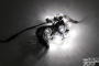 LED-2BLR-2835-50CM-10M-240V-W/BL, Белт-лайт с лампами белый холодный/черный пр.