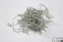 LED-PLS-100-10M-240V-M/C-F(W)-W/O, Мульти/белый флэш на прозр. пр., соед.(без шнура) С КОЛПАЧКОМ