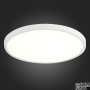 Настенно-потолочный светодиодный светильник ST Luce ST601.532.32