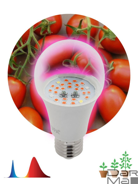 Лампа светодиодная для растений ЭРА E27 10W 1310K прозрачная Fito-10W-RB-E27 Б0050600