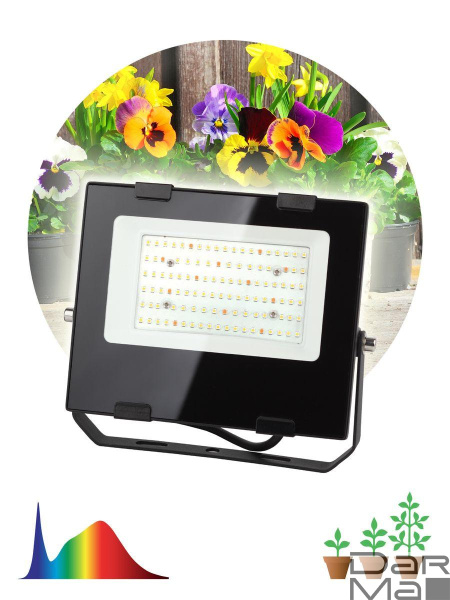 Прожектор светодиодный для растений ЭРА Fito-50W-Ra90-Led Б0047875