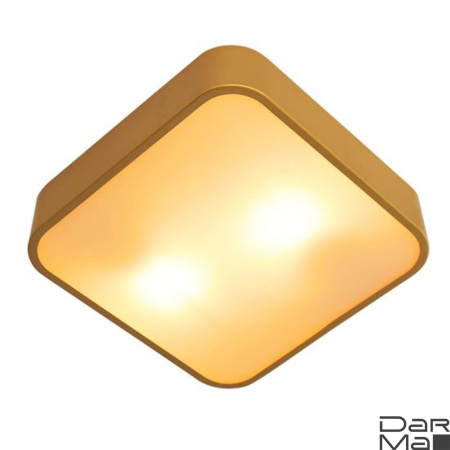 Потолочный светильник Arte Lamp Cosmopolitan A7210PL-2GO