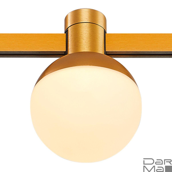 Трековый светодиодный светильник ST Luce Farm ST815.206.05