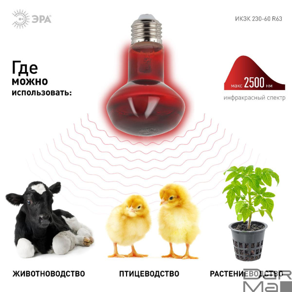 Лампа инфракрасная ЭРА E27 60 Вт для обогрева животных и освещения ИКЗК 230-60 Вт R63 Е27 Б0057281