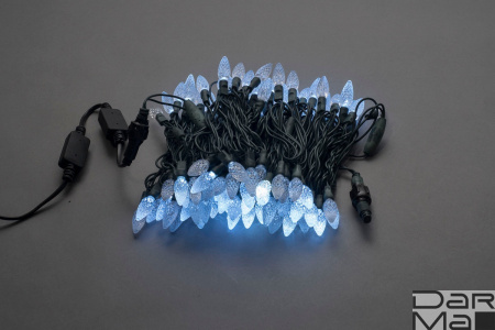 LED-XS-100-240V-W,ягода,белый, влагозащ.