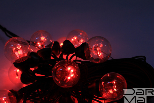 LED-2BLR-2835-50CM-10M-240V-R/BL, Белт-лайт с лампами красный/черный пр.