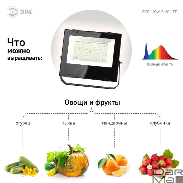 Прожектор светодиодный для растений ЭРА 100W 4000K Fito-100W-Ra90-Led Б0047876