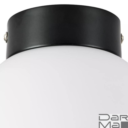 Настенно-потолочный светильник Lightstar Globo 812017