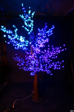 Дерево Вишня RGB  2,0м  высота