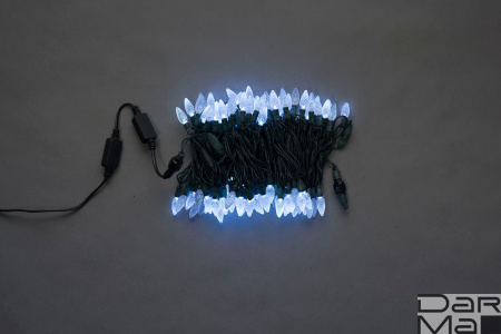 LED-XS-100-240V-W,ягода,белый, влагозащ.