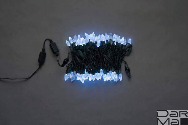 LED-XS-100-240V-W,ягода,белый, влагозащ.