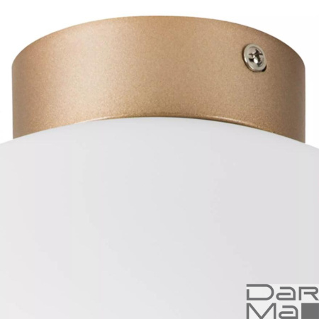 Настенно-потолочный светильник Lightstar Globo 812033