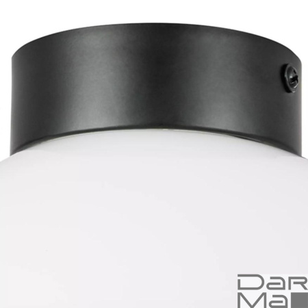 Настенно-потолочный светильник Lightstar Globo 812117