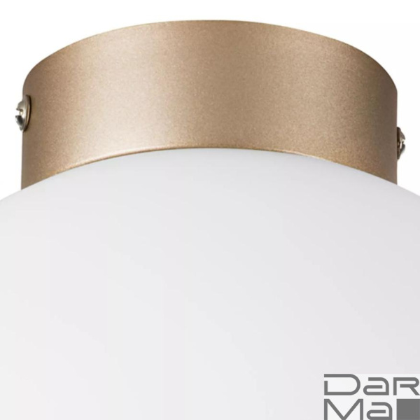 Настенно-потолочный светильник Lightstar Globo 812023