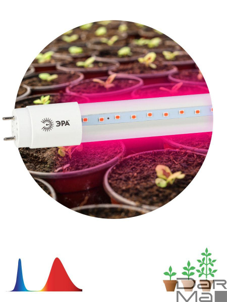 Лампа светодиодная для растений ЭРА G13 9W 1200K прозрачная Fito-9W-RB-Т8-G13-NL Б0042986