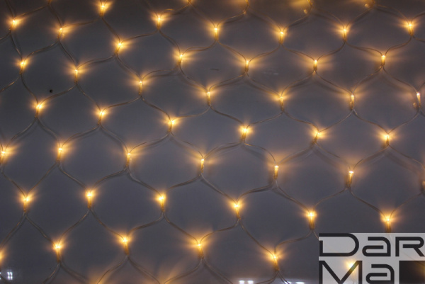 LED-SNL-540-2*4M-240V-WW/C Белые теплые светодиоды на прозр. проводе, соединяемая