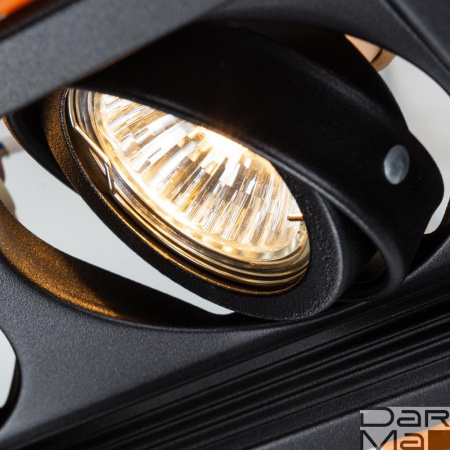 Встраиваемый светильник Arte Lamp Canis A6661PL-2BK