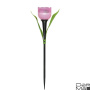Светильник на солнечных батареях Uniel Promo USL-C-451/PT305 Pink Tulip UL-00004276