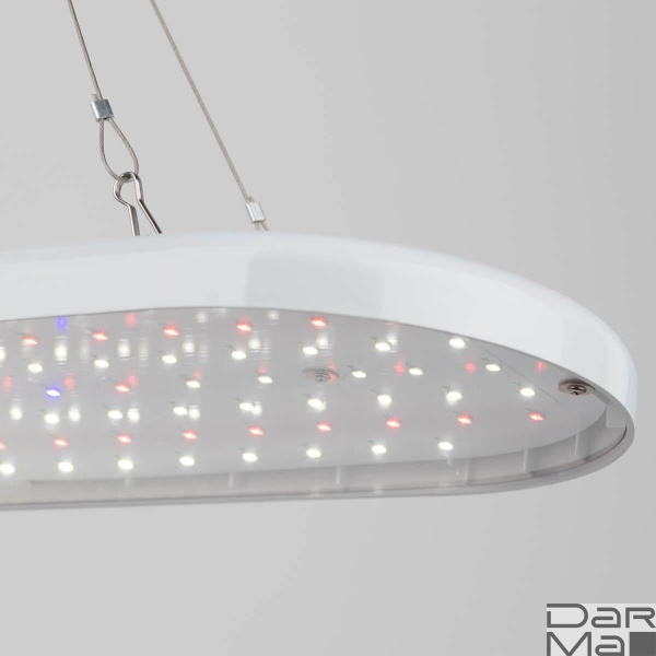 Светодиодный подвесной светильник для растений ЭРА Fito-25W-Qled-Fly Б0053062