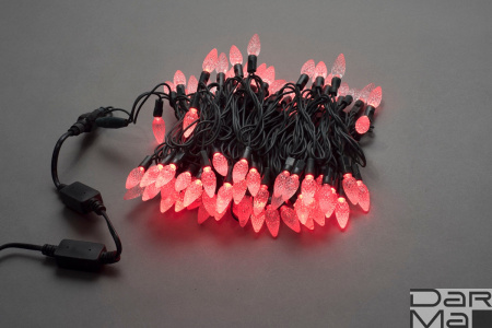 LED-XS-100-240V-R,ягода,красный, влагозащ.