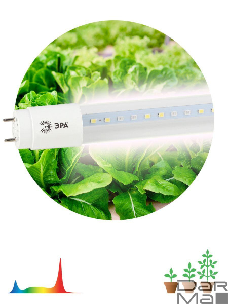Лампа светодиодная для растений ЭРА G13 9W 1200K прозрачная Fito-9W-Ra90-Т8-G13-NL Б0042988
